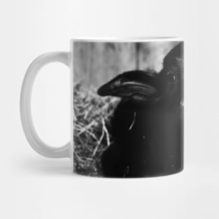 Water buffalo calf / Swiss Artwork Photography Mug